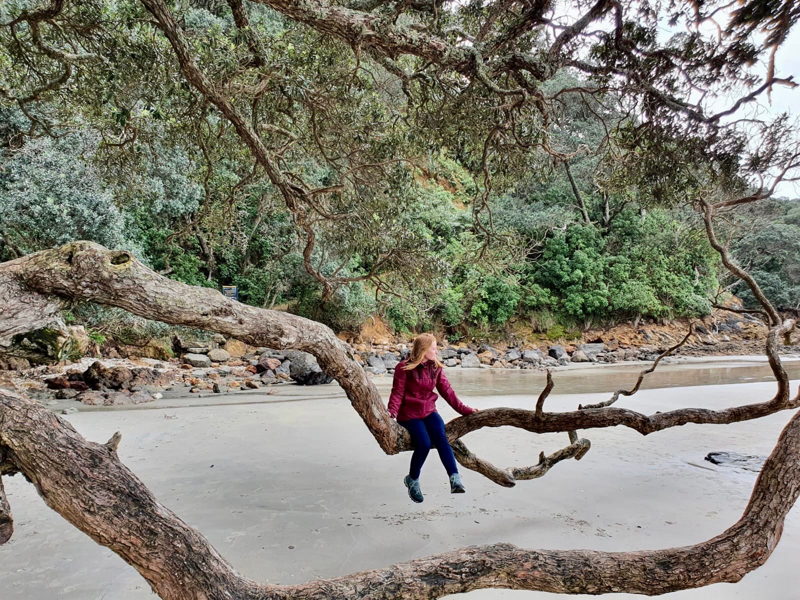 Moi posée sur une branche au loin